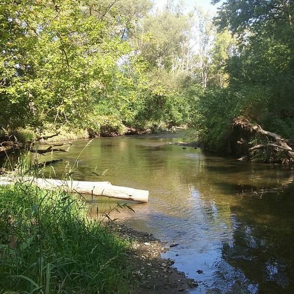 Meet your Posher, Betty - Picture 1 of 1